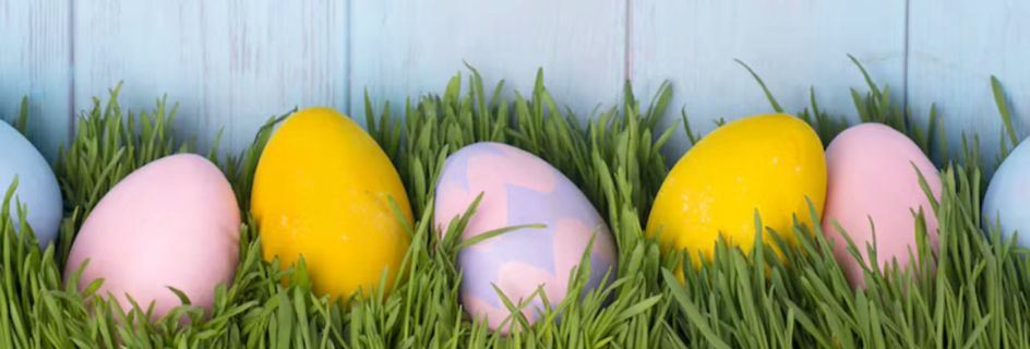 Eier